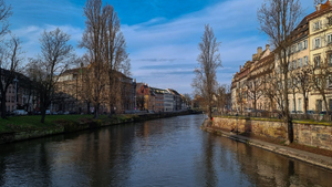 Caviste Strasbourg